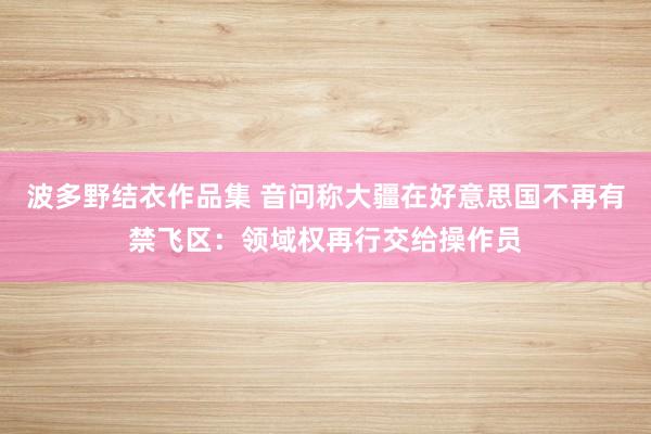 波多野结衣作品集 音问称大疆在好意思国不再有禁飞区:领域权再行交给操作员