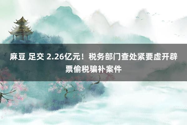 麻豆 足交 2.26亿元！税务部门查处紧要虚开辟票偷税骗补案件