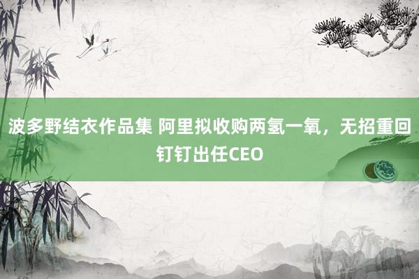 波多野结衣作品集 阿里拟收购两氢一氧，无招重回钉钉出任CEO