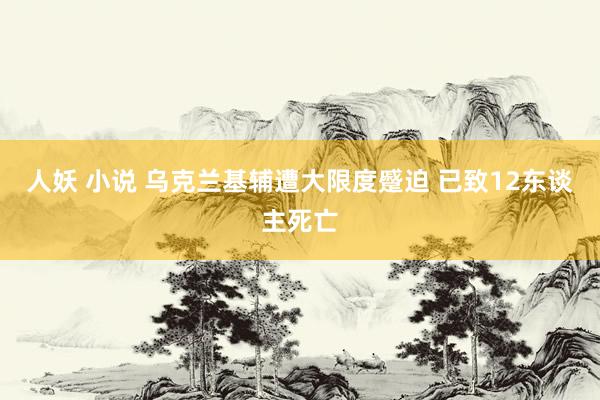 人妖 小说 乌克兰基辅遭大限度蹙迫 已致12东谈主死亡